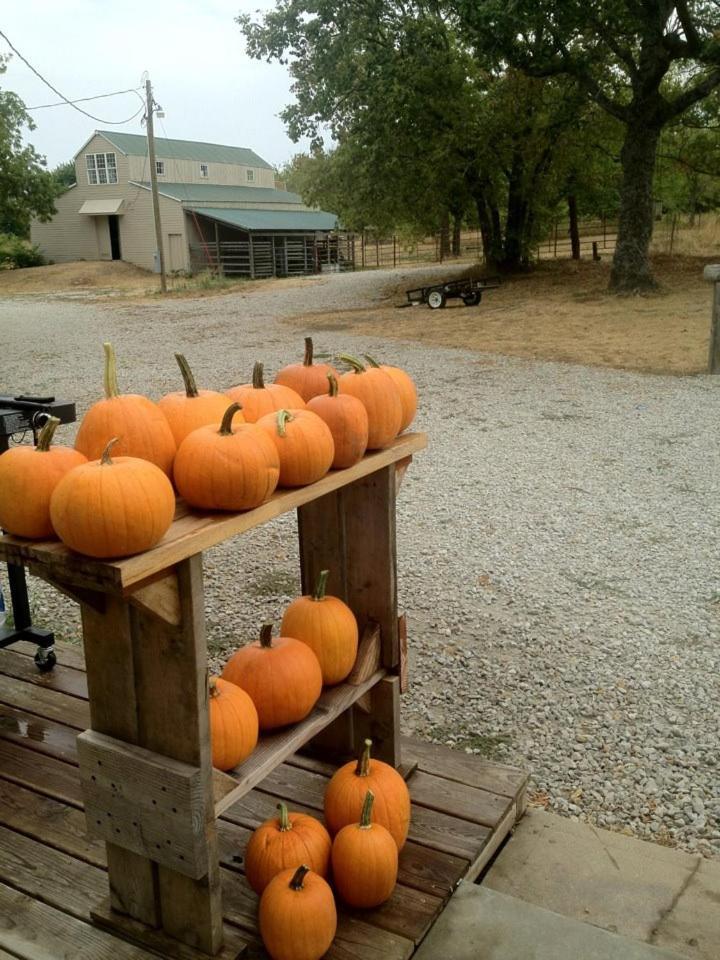 Netherfield Natural Farm Fontana Exterior photo